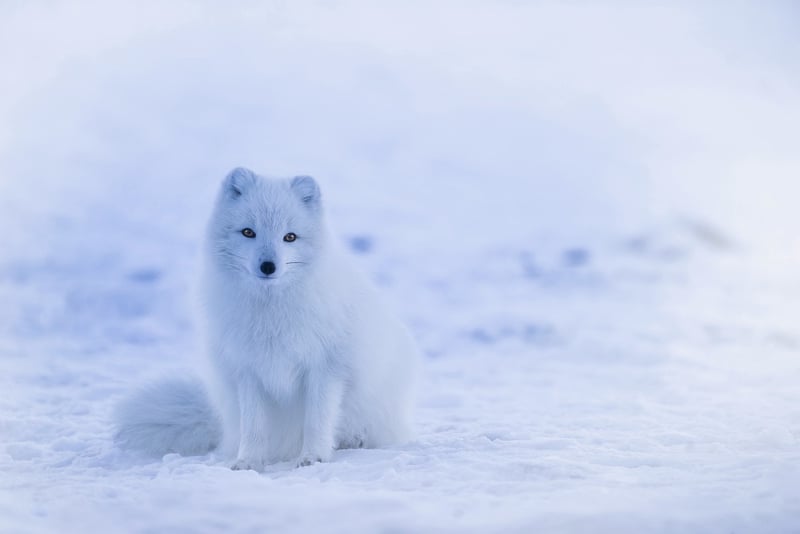 Svalbard, Norway